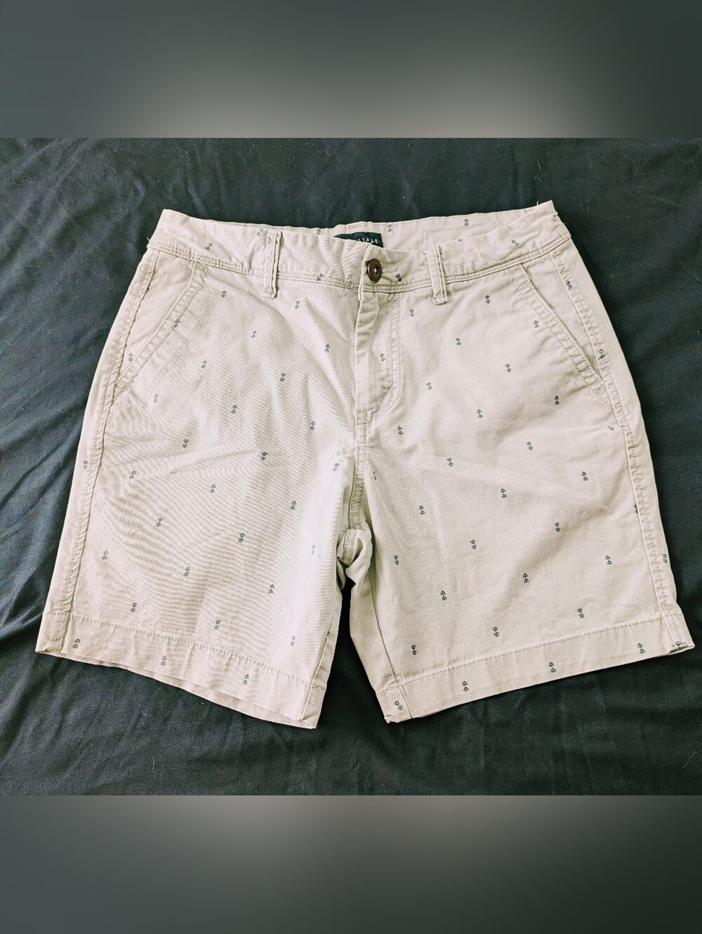 Aeropostale Flat-Front Shorts